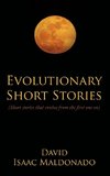 Evolutionary Short Stories