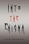 Into the Enigma