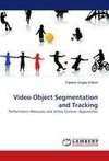 Video Object Segmentation and Tracking