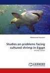 Studies on problems facing cultured shrimp in Egypt