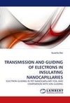 TRANSMISSION AND GUIDING OF ELECTRONS IN INSULATING NANOCAPILLARIES