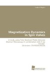 Magnetization Dynamics in Spin Valves