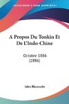 A Propos Du Tonkin Et De L'Indo-Chine