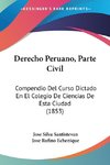 Derecho Peruano, Parte Civil