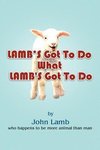 Lamb's Got to Do What Lamb's Got to Do