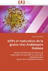 Bzips et maturation de la graine chez arabidopsis thaliana