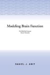 Modelling Brain Function