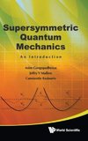 Supersymmetric Quantum Mechanics