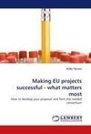 Making EU projects successful - what matters most
