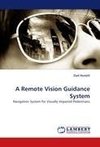 A Remote Vision Guidance System