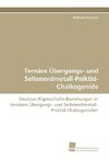 Ternäre Übergangs- und Seltenerdmetall-Pniktid-Chalkogenide