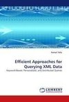 Efficient Approaches for Querying XML Data