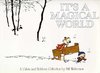 It's a Magical World. Calvin and Hobbes