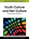 Youth Culture and Net Culture