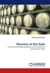 Neurons at the Gate