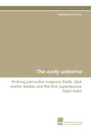 The early universe