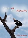 Scars of the Healing