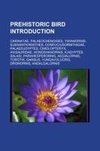Prehistoric bird Introduction