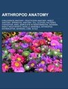 Arthropod anatomy