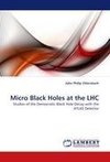 Micro Black Holes at the LHC