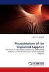 Microstructure of Ion Implanted Sapphire