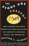 Stone Age Present