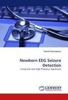 Newborn EEG Seizure Detection