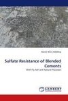 Sulfate Resistance of Blended Cements