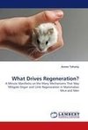 What Drives Regeneration?