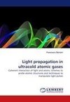 Light propagation in ultracold atomic gases