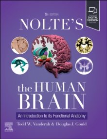 Nolte's The Human Brain