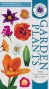 Field Guide: Garden Plants for Temperate Regions