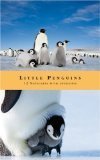 Little Penguins Notecards