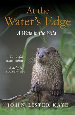 At the Water's Edge
