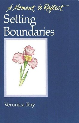 SETTING BOUNDARIES MOMENTS TO