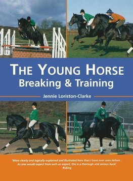 The Young Horse