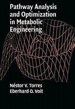 Pathway Analysis and Optimization in Metabolic Engineering