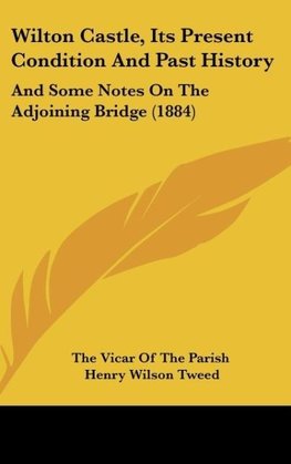 Wilton Castle, Its Present Condition And Past History