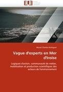 Vague d''experts en Mer d''Iroise