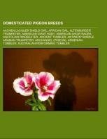 Domesticated pigeon breeds