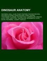 Dinosaur anatomy