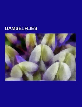 Damselflies