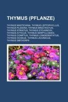 Thymus (Pflanze)