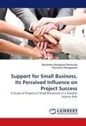 Support for Small Business, Its Perceived Influence on Project Success
