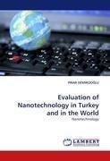 Evaluation of Nanotechnology in Turkey and in the World