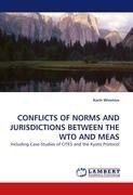 CONFLICTS OF NORMS AND JURISDICTIONS BETWEEN THE WTO AND MEAS