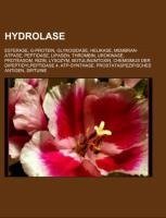 Hydrolase