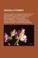 Anguilliformes