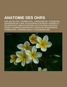 Anatomie des Ohrs