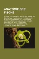 Anatomie der Fische